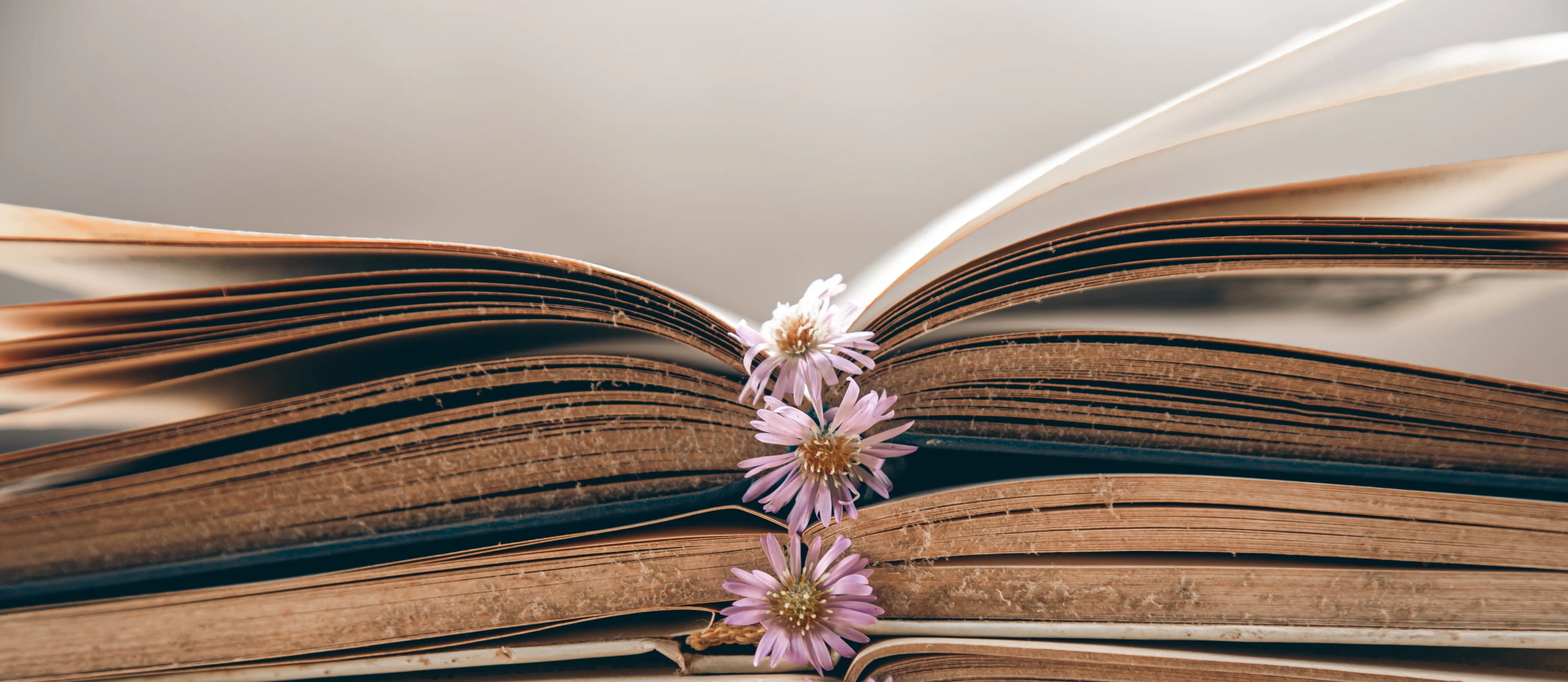 Overview of our services